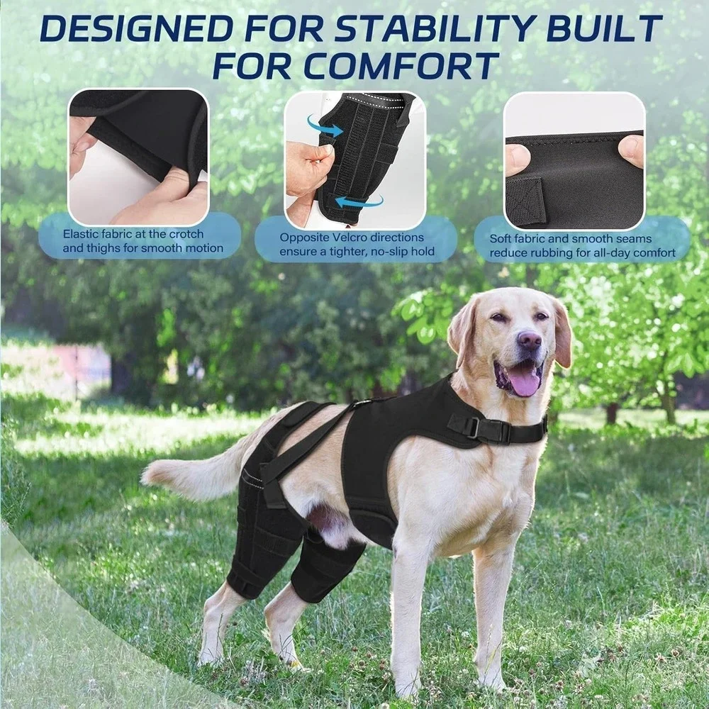 Adjustable Dog Knee Brace for Back Leg Injuries ACL-CCL Support Size XXL